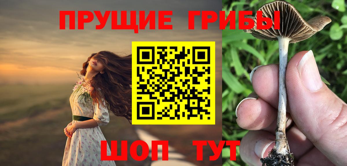 Псилоцибиновые грибы ЛСД  Вход с VPN  Губкин  Галлюциногенные грибы MAGIC MUSHROOMS 