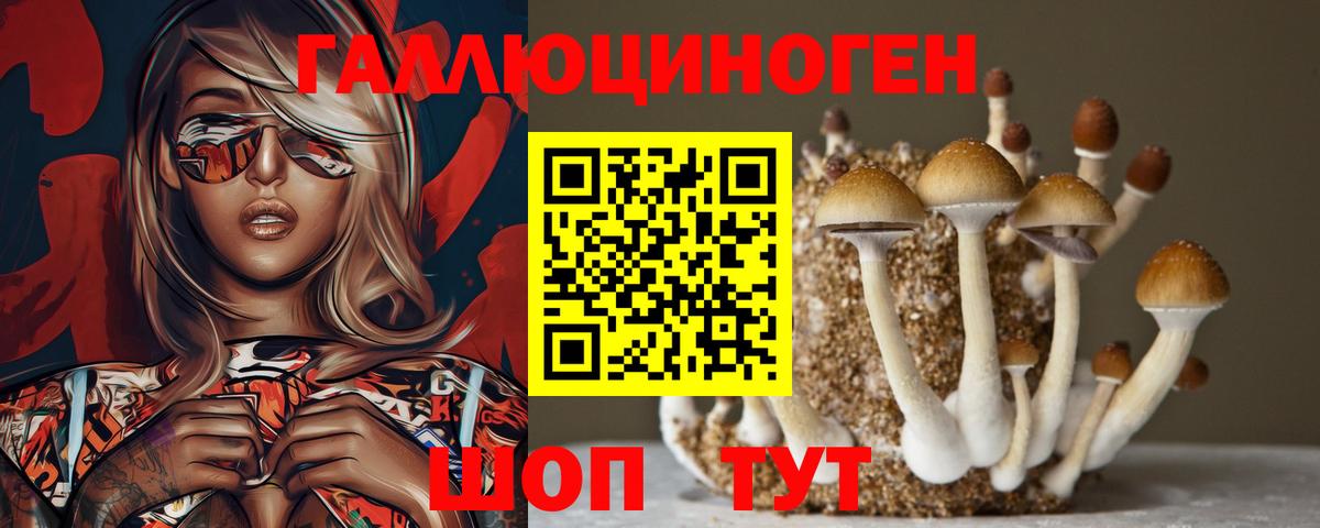 Галлюциногенные грибы Psilocybe Губкин